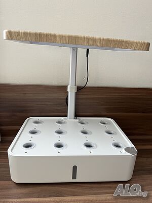 image_5