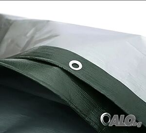 image_6