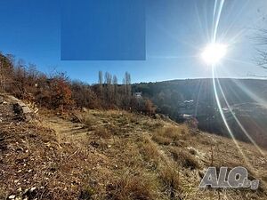 image_6