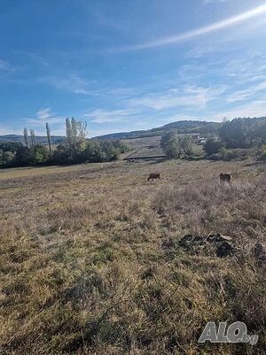 Продава земеделска земя
