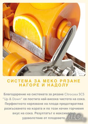 image_11