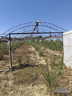 Продавам Оранжерии