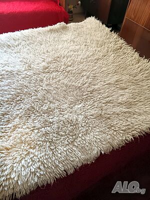 Бял китеник с дълъг косъм от естествена вълна
