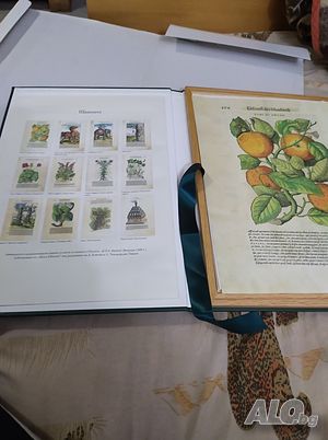 image_4