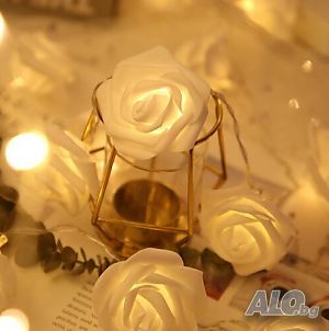 image_12