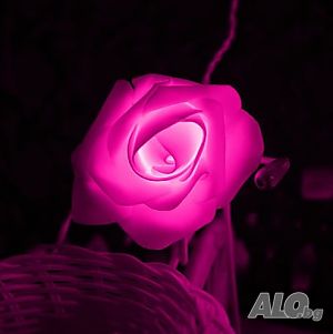 image_6