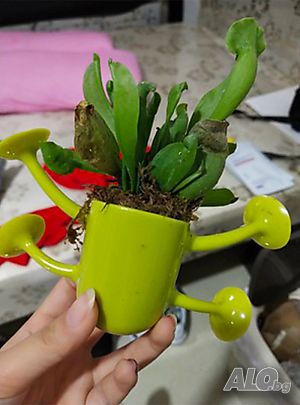image_10