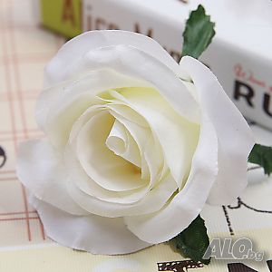 image_7