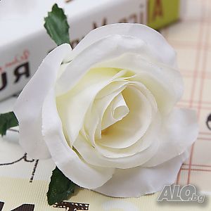 image_9