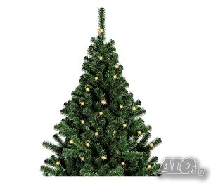 image_2