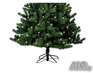 image_4