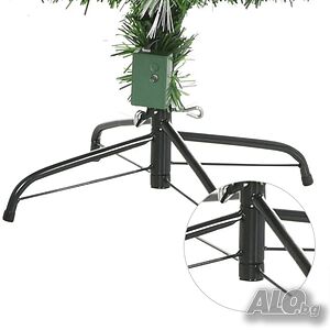 image_6