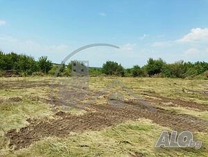 image_6