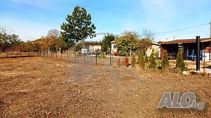 image_3