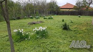 Продавам дворно място с малка къща в с. Брястовец