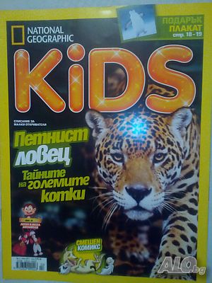 image_3