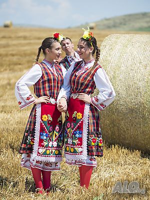 image_5