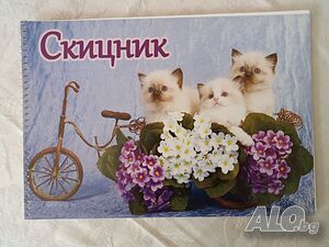 image_3