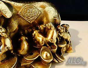 image_8