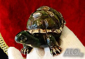 image_3