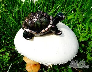 image_11
