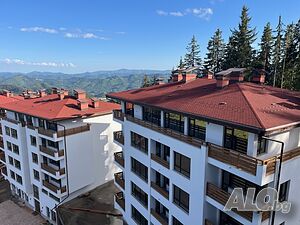 image_15