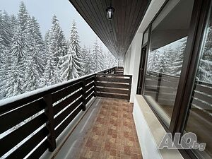 image_8