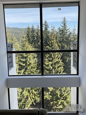 image_12