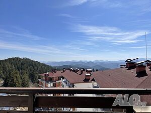 image_11