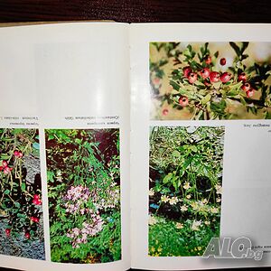 image_4