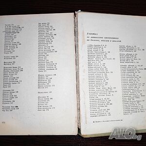 image_7