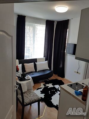 image_5