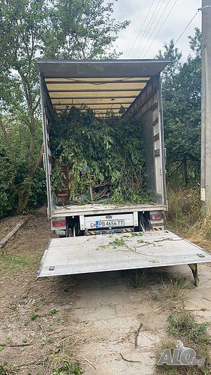 image_13