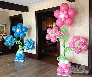 image_11