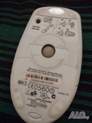 image_2