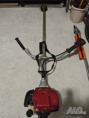 image_3
