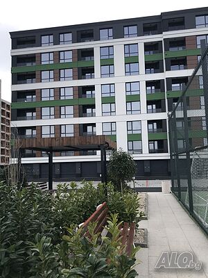 image_5