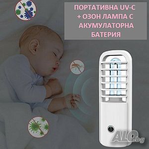 image_11