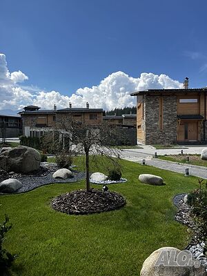 image_12