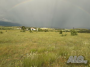 image_4