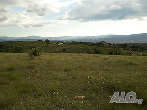 image_6