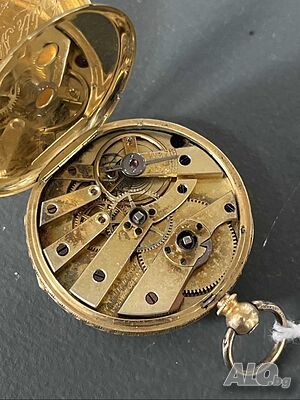 image_7