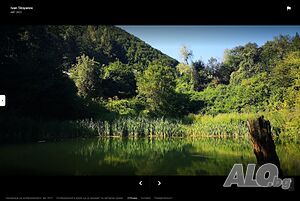 image_15