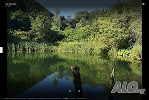 image_14