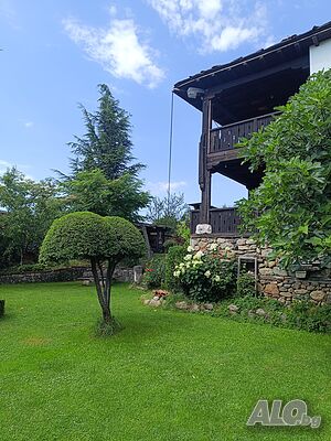 image_4