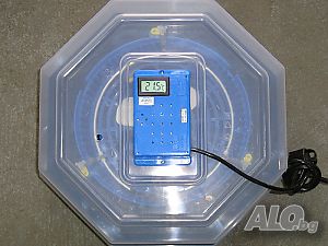image_5