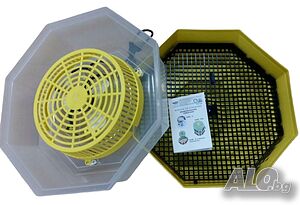 image_8