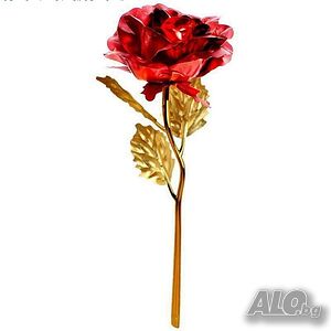 image_5