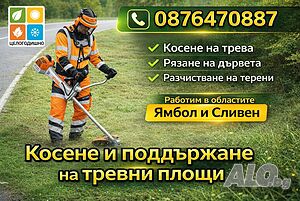 Косене на трева. Градинарски услуги