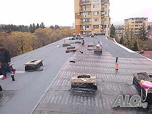 image_8